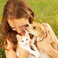 Adopting a Pet From a Rescue Group